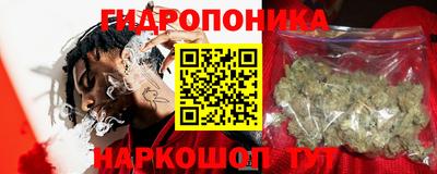 apvp Лесосибирск