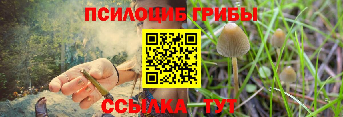 Псилоцибиновые грибы GOLDEN TEACHER Волгодонск